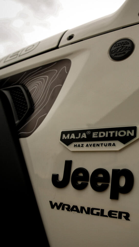 Personalización de Emblemas y Viniles